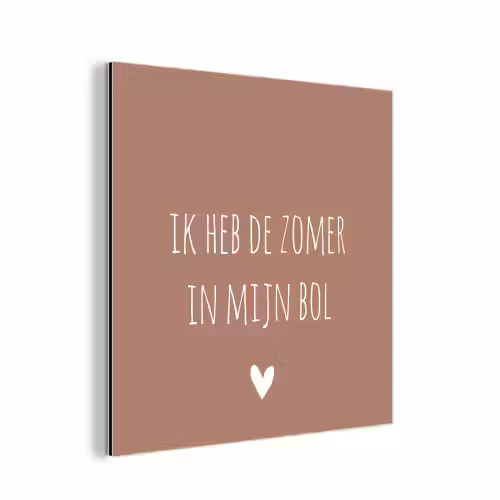 Spreuken - Ik heb de zomer in mijn bol - Quotes - André Hazes aluminium wit klein -3d