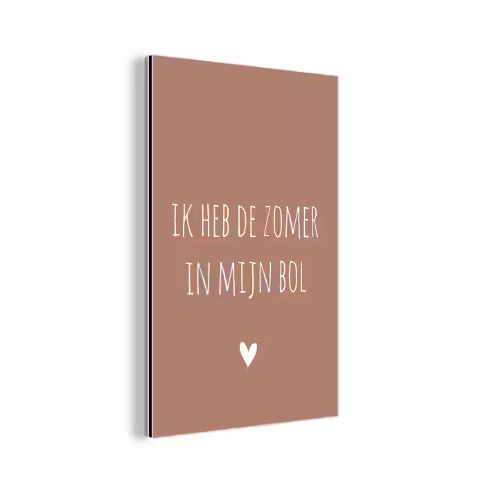 Spreuken - Ik heb de zomer in mijn bol - Quotes - André Hazes aluminium wit klein -3d
