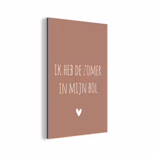Spreuken - Ik heb de zomer in mijn bol - Quotes - André Hazes aluminium wit klein -3d
