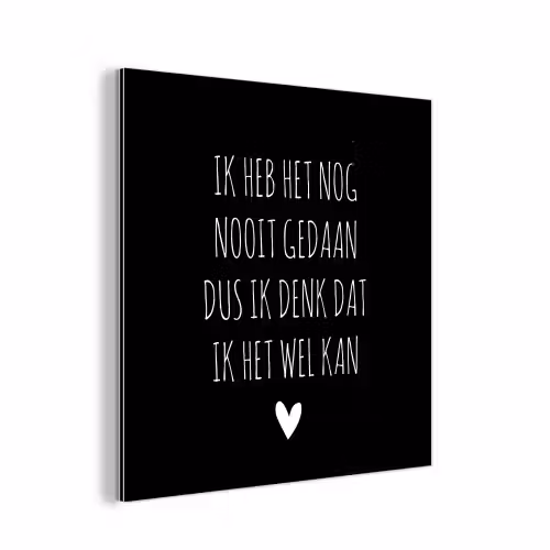 Spreuken - Ik heb het nog nooit gedaan dus - Quotes aluminium wit klein -3d