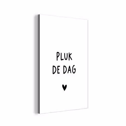 Spreuken - Pluk de dag - Quotes - Carpe diem aluminium wit klein -3d