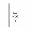 Spreuken - Pluk de dag - Quotes - Carpe diem aluminium wit klein -3d