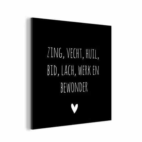 Spreuken - Ramses Shaffy - Zing vecht huil bid lach werk en bewonder - Quotes aluminium wit klein -3d