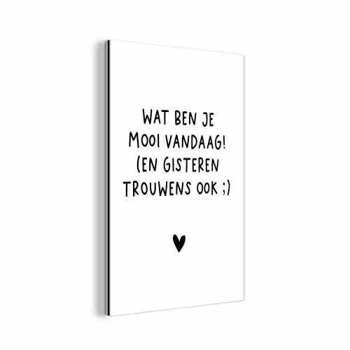 Spreuken - Wat ben je mooi vandaag - Quotes aluminium wit klein -3d