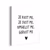 Spreuken - Quotes - Je kust je je sust me - Maaike Ouboter aluminium wit klein -3d