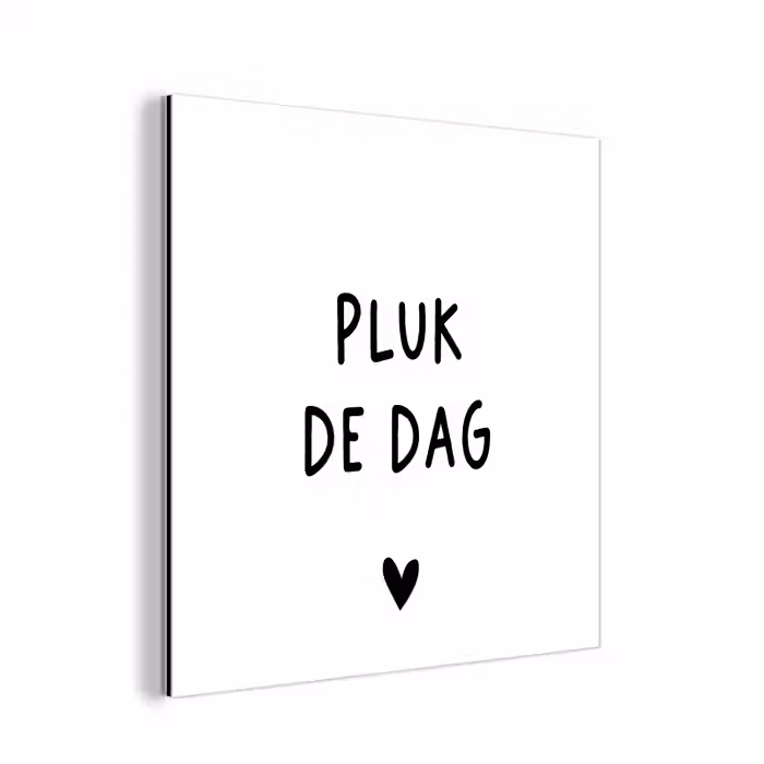 Spreuken - Quotes - Pluk de dag - Carpe diem aluminium wit klein -3d