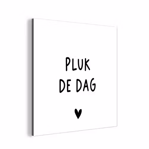 Spreuken - Quotes - Pluk de dag - Carpe diem aluminium wit klein -3d