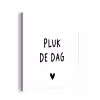 Spreuken - Quotes - Pluk de dag - Carpe diem aluminium wit klein -3d