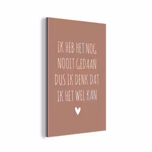 Spreuken - Quotes - Ik heb het nog nooit gedaan dus aluminium wit klein -3d