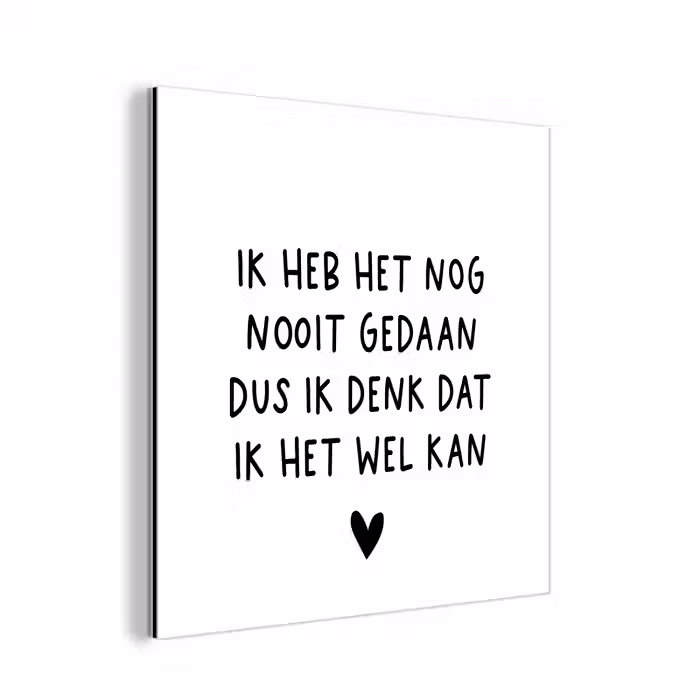 Spreuken - Quotes - Ik heb het nog nooit gedaan dus aluminium wit klein -3d