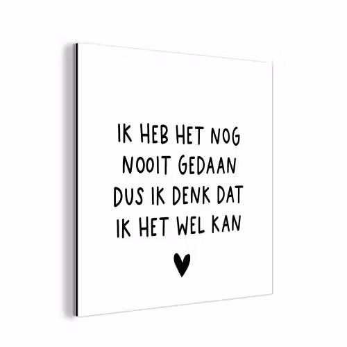 Spreuken - Quotes - Ik heb het nog nooit gedaan dus aluminium wit klein -3d