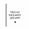 Spreuken - Thuis is het plekje waar de liefde woont - Quotes aluminium wit klein -3d
