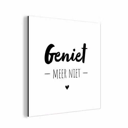 Tekst - Geniet meer niet - Genieten - Quotes aluminium wit klein -3d