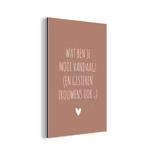 Wat ben je mooi vandaag - Quotes - Spreuken aluminium wit klein -3d