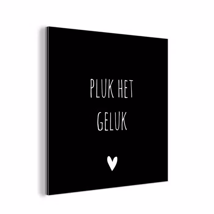 Quote - Spreuken - Pluk het geluk aluminium wit klein -3d