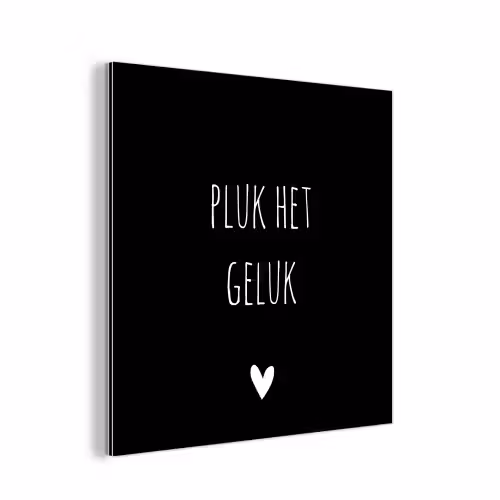Quote - Spreuken - Pluk het geluk aluminium wit klein -3d