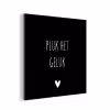Quote - Spreuken - Pluk het geluk aluminium wit klein -3d