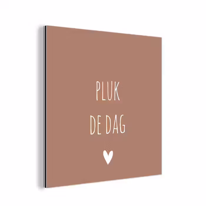 Quotes - Carpe diem - Pluk de dag - Spreuken aluminium wit klein -3d