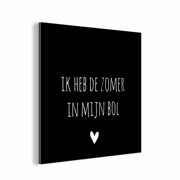 Quotes - Ik heb de zomer in mijn bol - André Hazes - Spreuken aluminium wit klein -3d