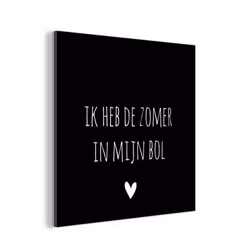 Quotes - Ik heb de zomer in mijn bol - André Hazes - Spreuken aluminium wit klein -3d