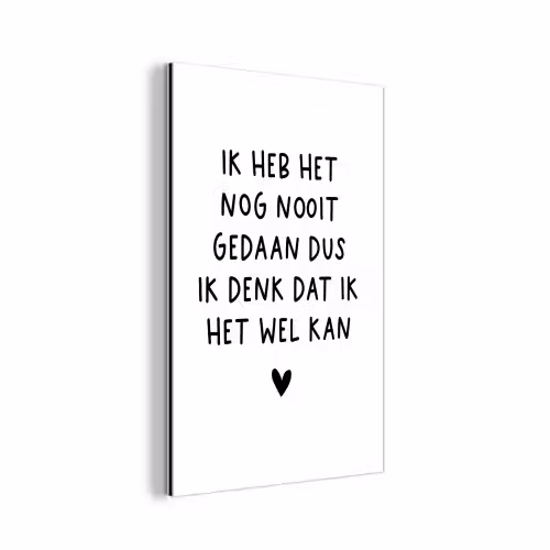 Quotes - Ik heb het nog nooit gedaan dus - Spreuken aluminium wit klein -3d