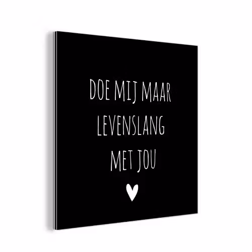 Quotes - Doe mij maar levenslang met jou - Spreuken aluminium wit klein -3d