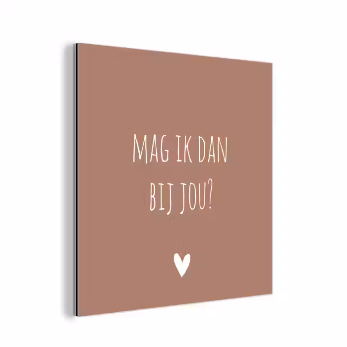 Quotes - Mag ik dan bij jou - Claudia de Breij - Spreuken aluminium wit klein -3d