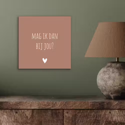 Quotes - Mag ik dan bij jou - Claudia de Breij - Spreuken aluminium wit klein -sfeer2