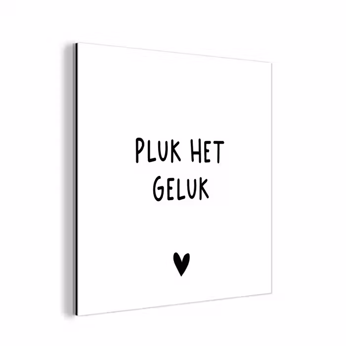 Quotes - Pluk het geluk - Spreuken aluminium wit klein -3d
