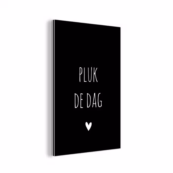 Quotes - Pluk de dag - Spreuken - Carpe diem aluminium wit klein -3d
