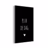 Quotes - Pluk de dag - Spreuken - Carpe diem aluminium wit klein -3d