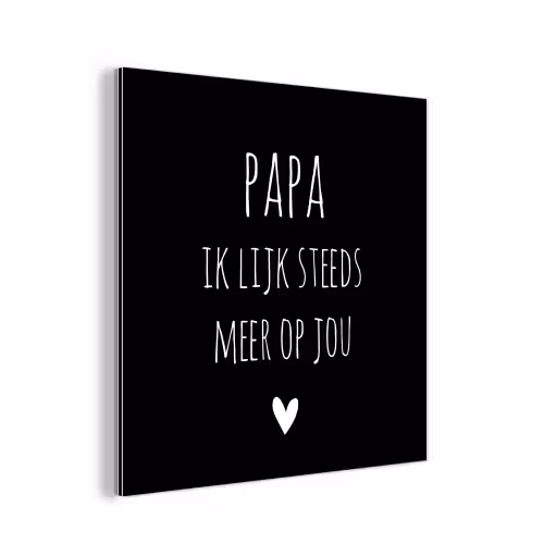 Quotes - Papa ik lijk steeds meer op jou - Stef Bos - Papa - Spreuken aluminium wit klein -3d
