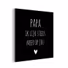 Quotes - Papa ik lijk steeds meer op jou - Stef Bos - Papa - Spreuken aluminium wit klein -3d