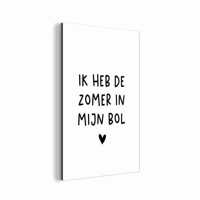 Quotes - Spreuken - André Hazes - Ik heb de zomer in mijn bol aluminium wit klein -3d
