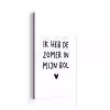 Quotes - Spreuken - André Hazes - Ik heb de zomer in mijn bol aluminium wit klein -3d