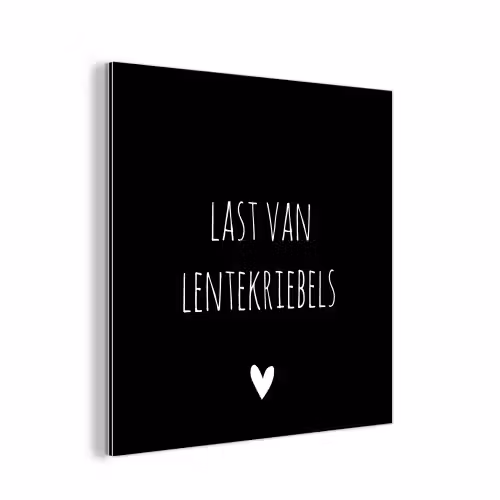 Quotes - Spreuken - Lentekriebels aluminium wit klein -3d