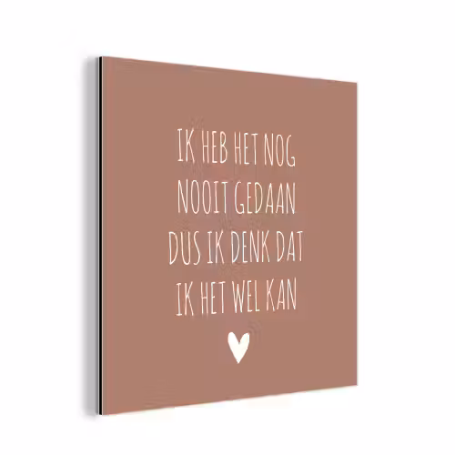 Quotes - Spreuken - Ik heb het nog nooit gedaan dus aluminium wit klein -3d