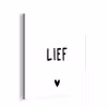 Quotes - Lief - Spreuken aluminium wit klein -3d