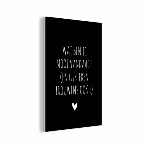 Quotes - Wat ben je mooi vandaag - Spreuken aluminium wit klein -3d