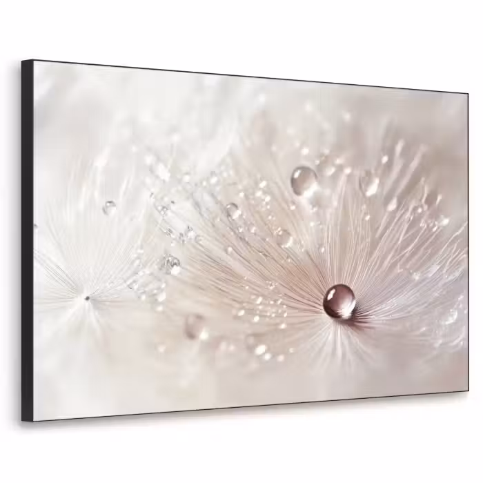 Art Frame - Blume - Abstrakt - Weiß - Wasser - Natur