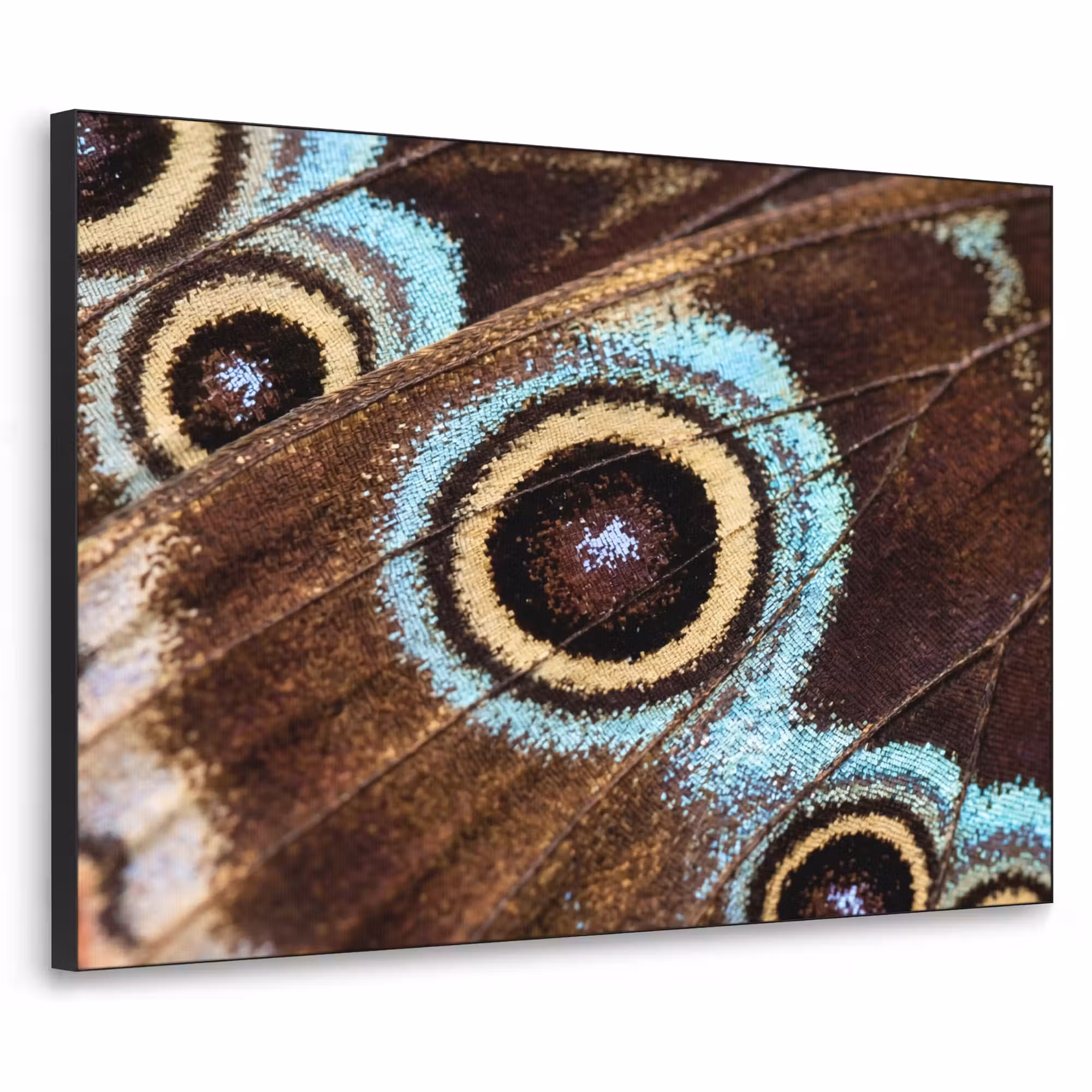 Art Frame - Flügel - Schmetterling - Blau