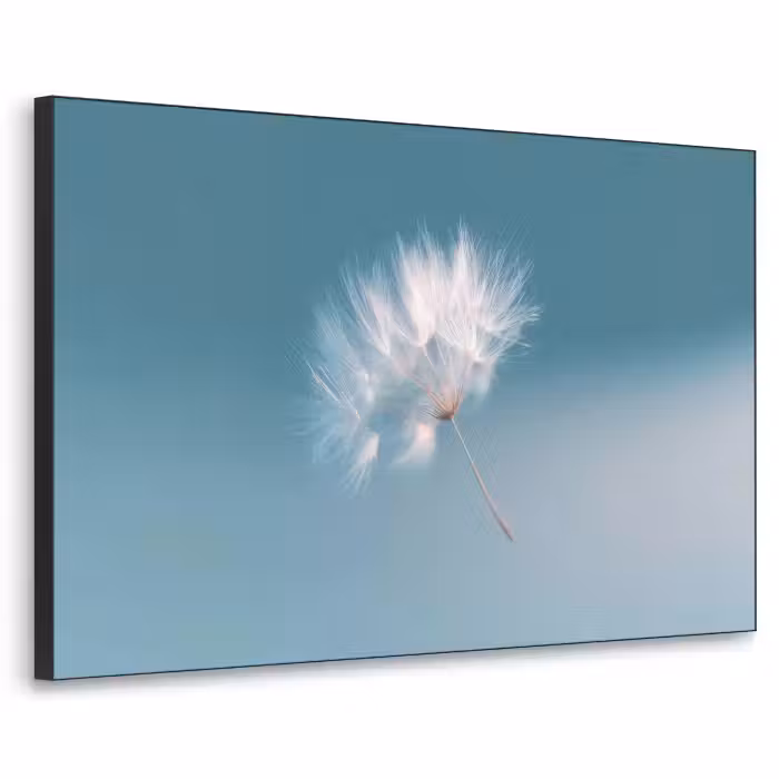 Art Frame - Löwenzahnflaum - Blau - Luft