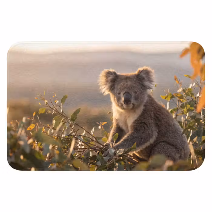 Badematte - Koala - Blätter - Morgenlicht