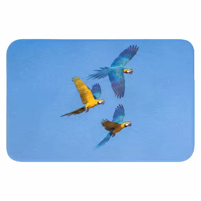 Badematte - Papagei - Fliegen - Blau - Gelb