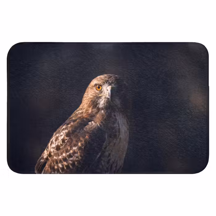 Badematte - Raubvogel - Mäusebussard - Braun