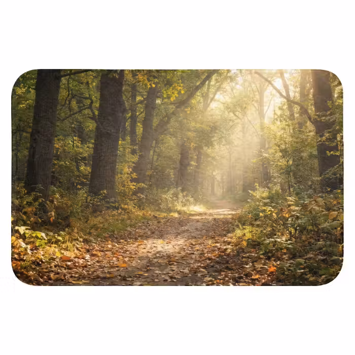 Badematte - Sonnenlicht - Waldweg - Bäume