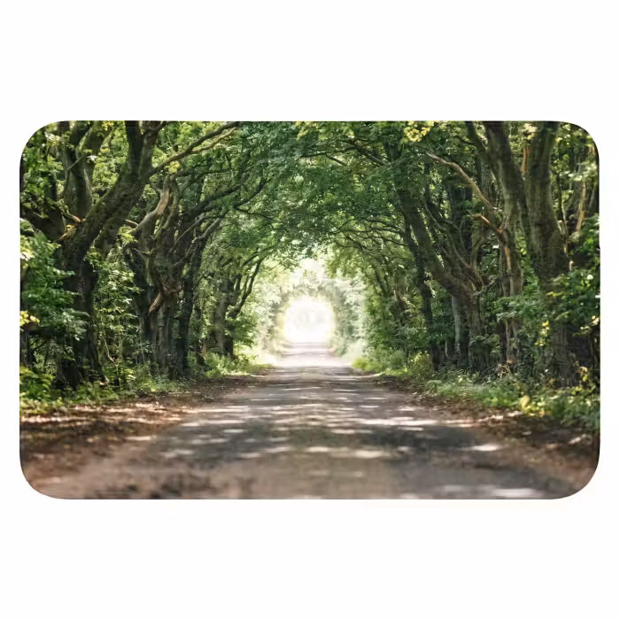 Badematte - Straße - Bäume - Natur - Grün