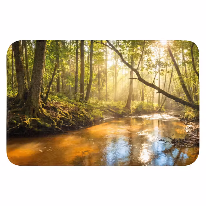 Badematte - Wald - Bach - Sonnenlicht - Natur - Grün