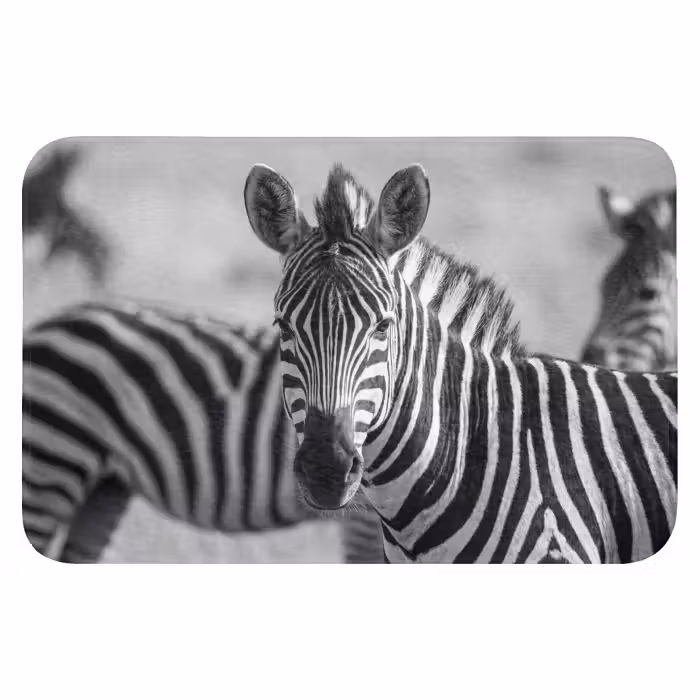 Badematte - Zebras - Schwarz - Weiß
