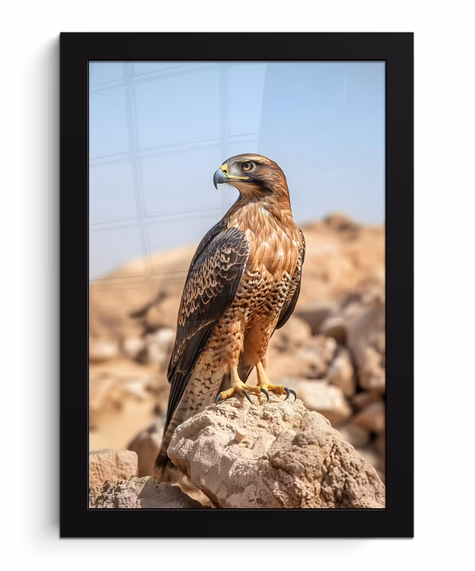 Bilder mit Rahmen - Falke - Vogel - Fels - Macht
